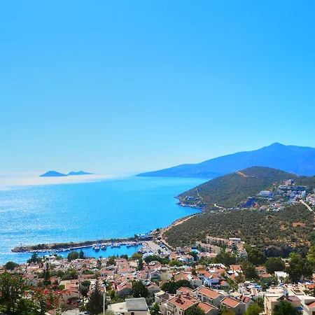 Agena Kalkan